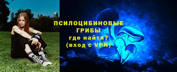 ALPHA-PVP Алексеевка